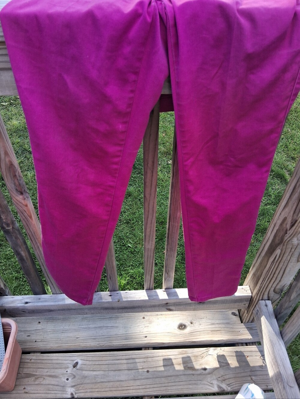 Women's Magenta Slim-Fit Pants